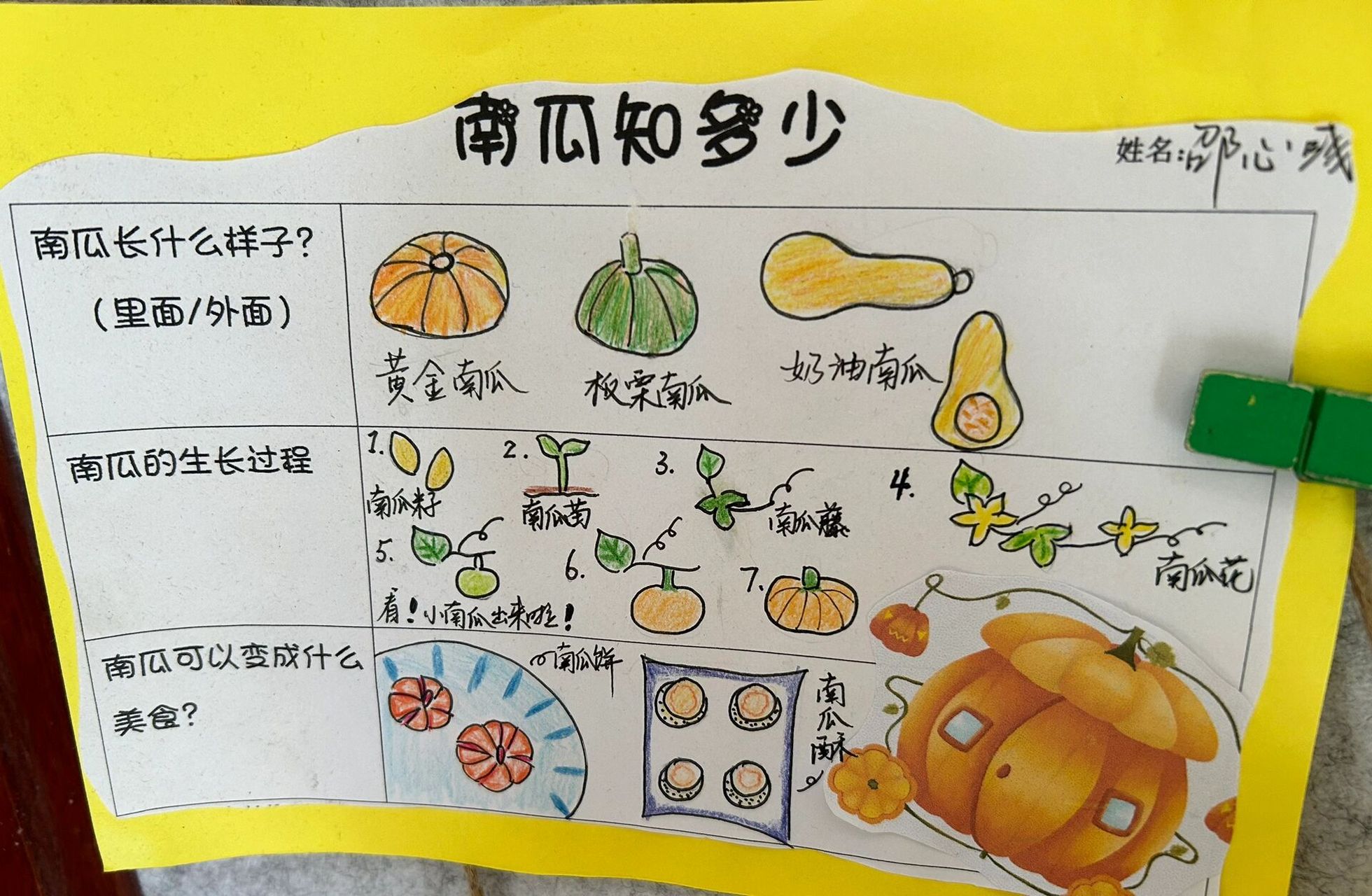 幼儿园南瓜调查表99 幼儿园班本课程 南瓜问卷调查表