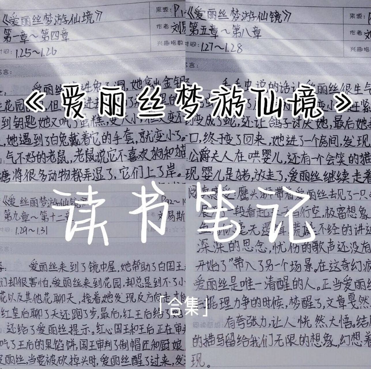 读书笔记|《爱丽丝梦游仙境》 读书笔记《爱丽丝梦游仙境》合集 p1