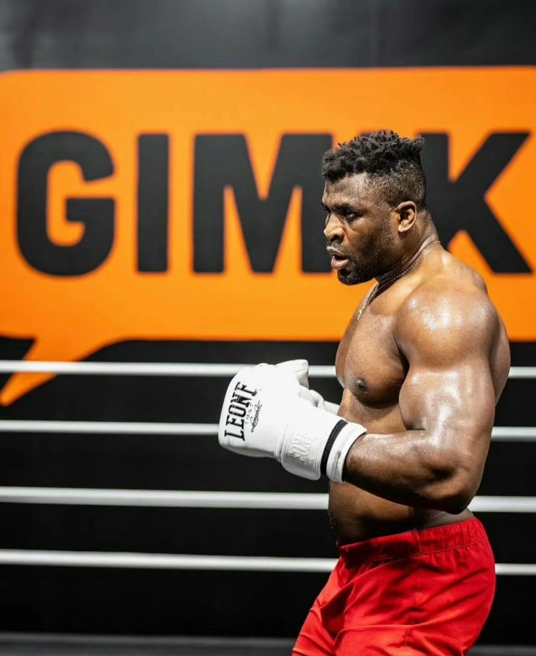 铁血vs约书亚 80亿最强男ufc重量级冠军"铁血"弗朗西斯-纳干诺与wba