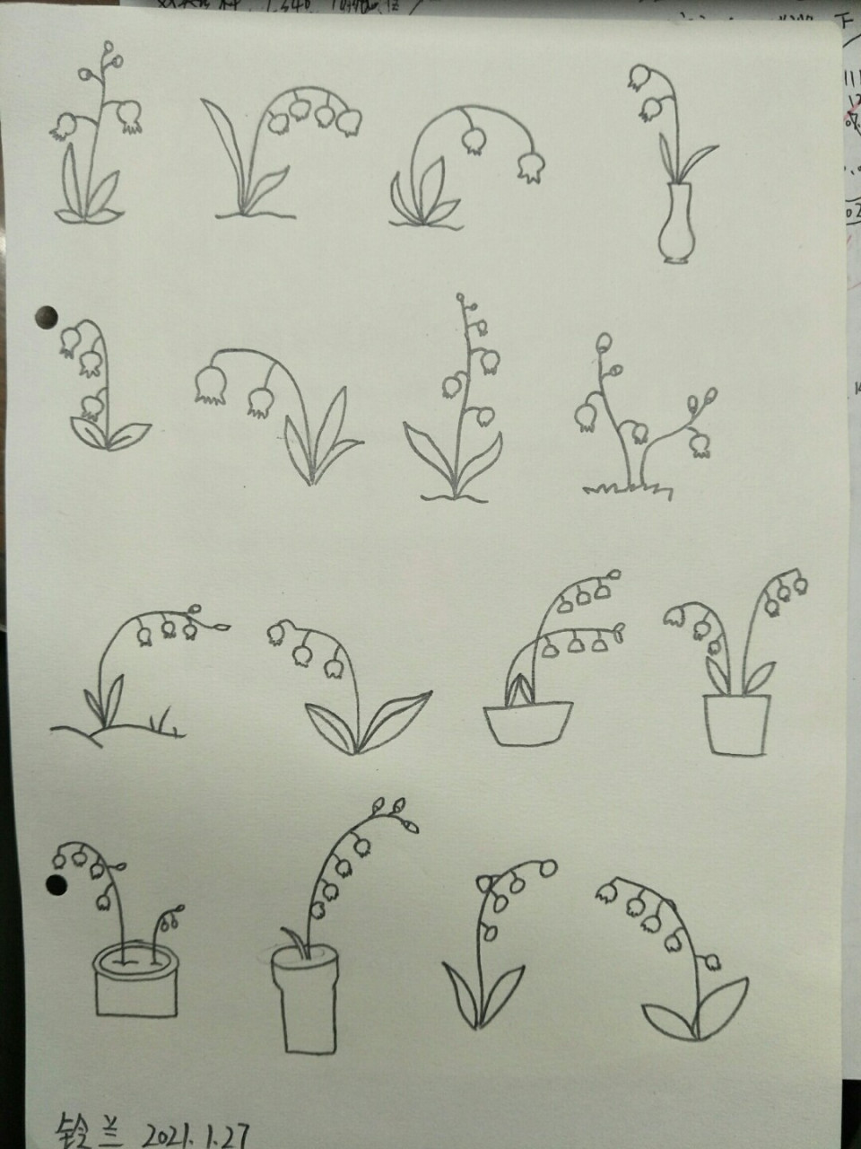 简笔画铃兰,坚持打卡 #绘画