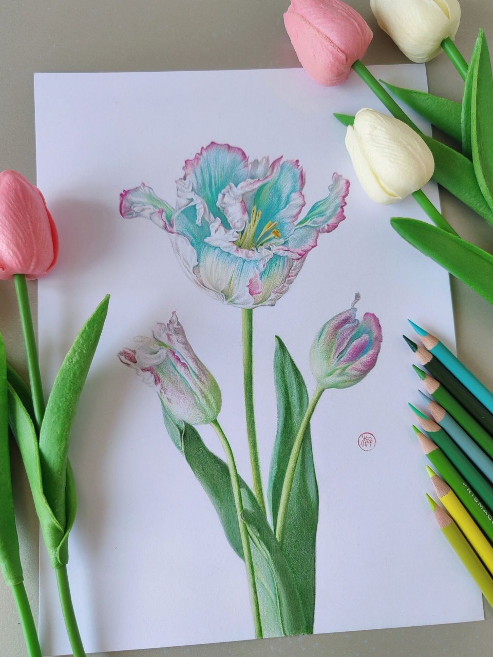 彩铅花卉写生之渐变郁金香 画一束温柔   【写生图片来自97 】