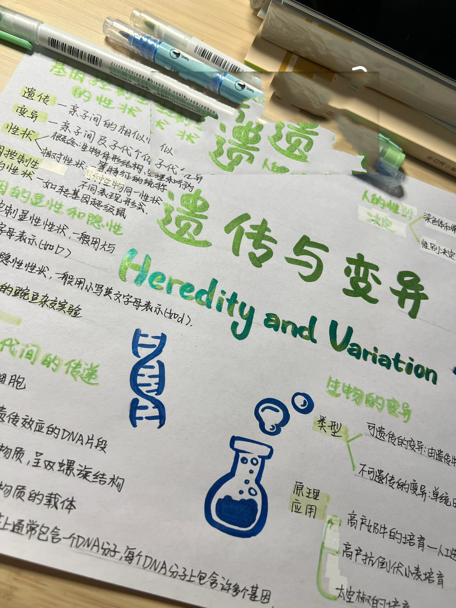 78八下91生物的遗传与变异手抄报93拿