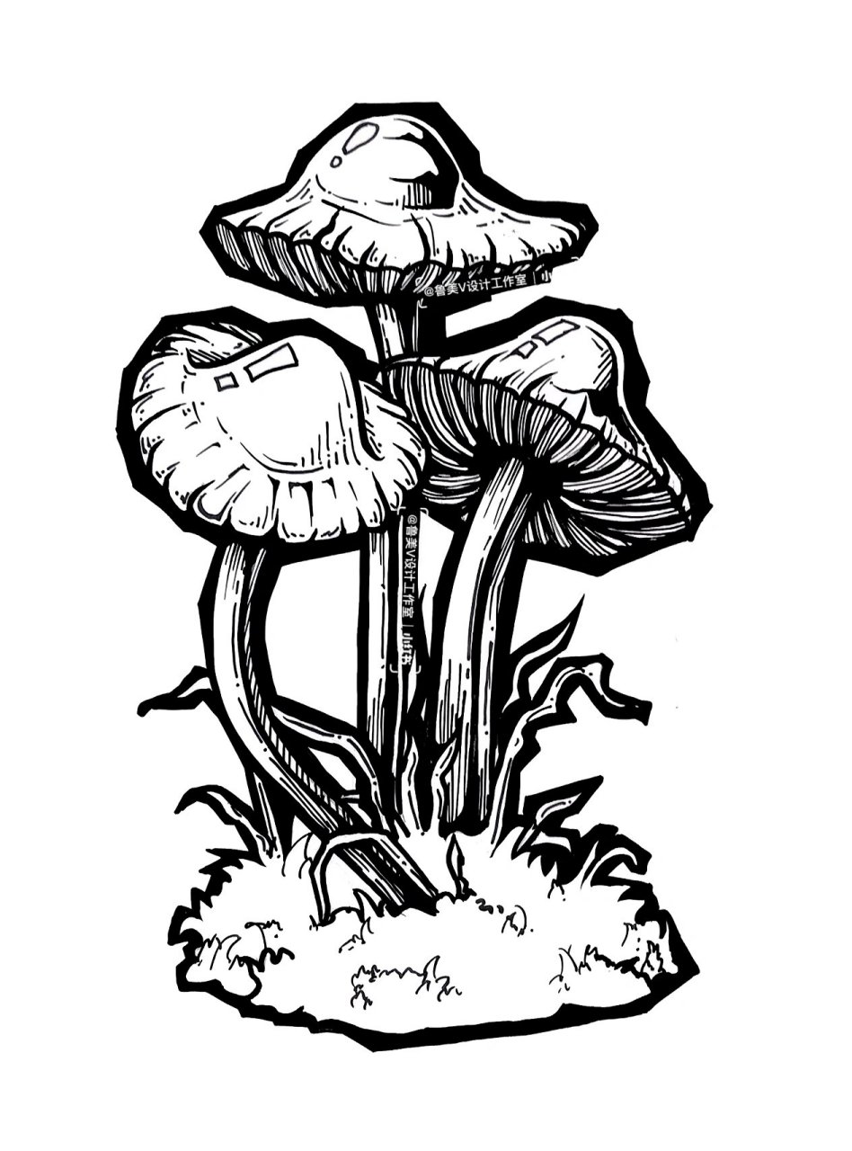 鲁美设计|黑白装饰画|蘑菇|内附步骤 鲁迅美术学院设计基础,黑白装饰