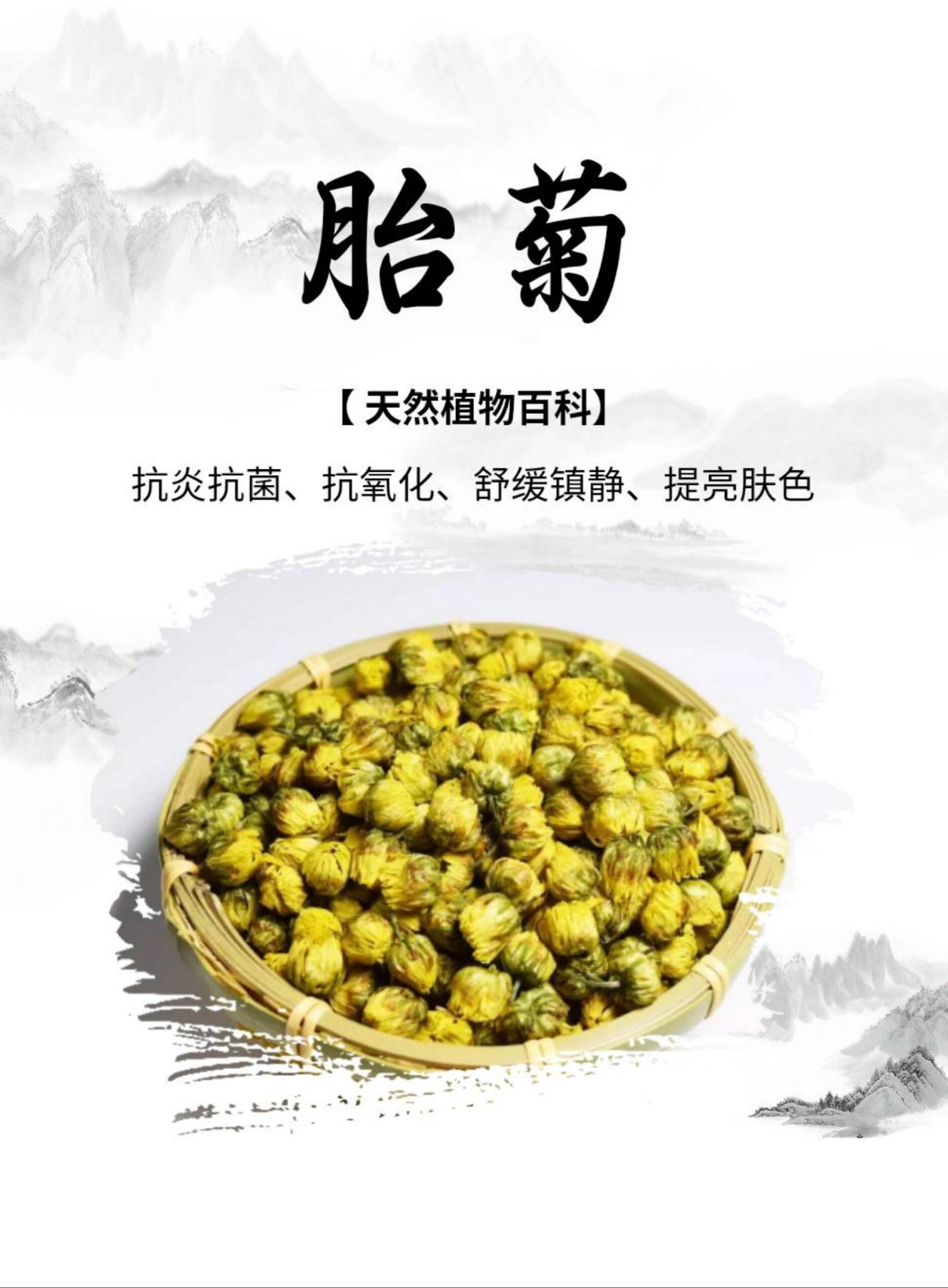 天然植物百科之胎菊