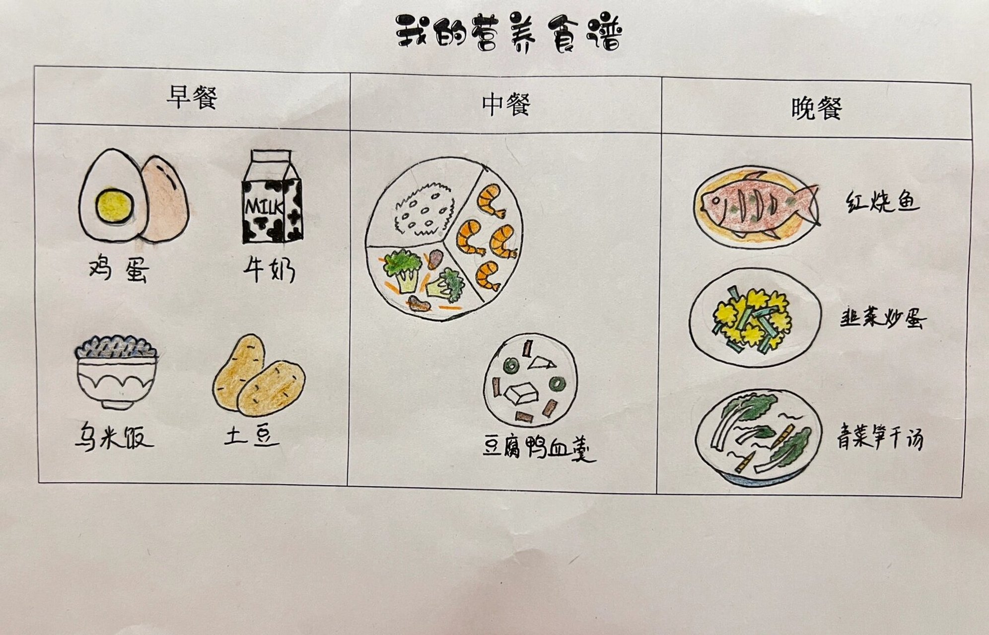 幼儿园作业之我的营养食谱