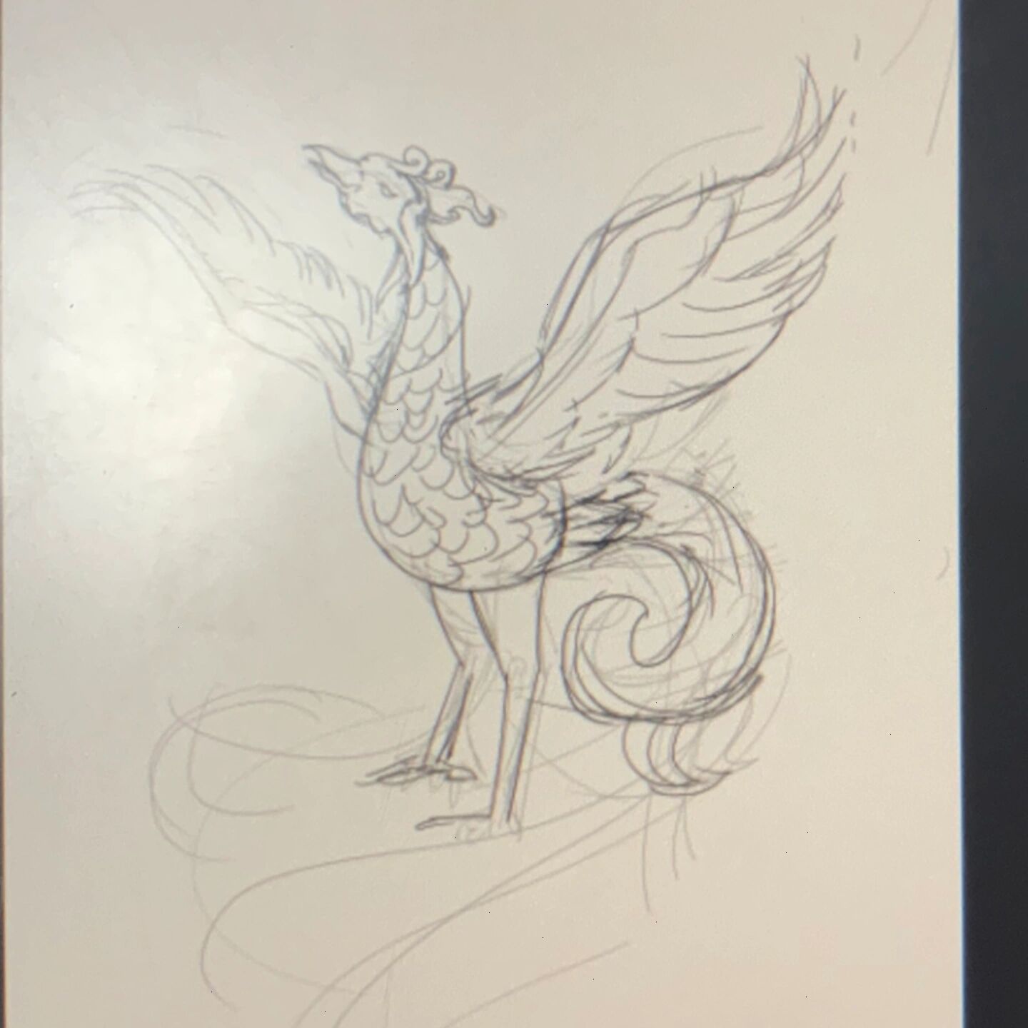 四灵——朱雀 草稿