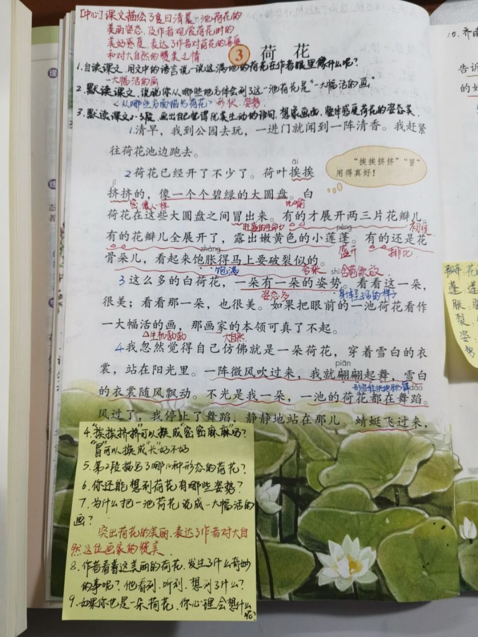 【备课笔记】三下语文《荷花》