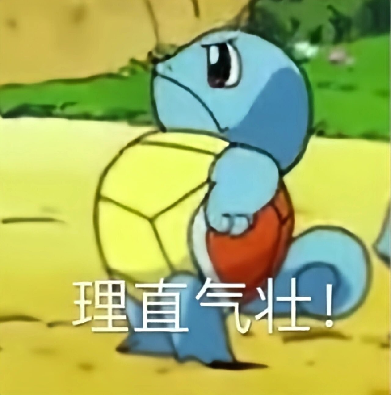 理直气壮小王八! 表情包