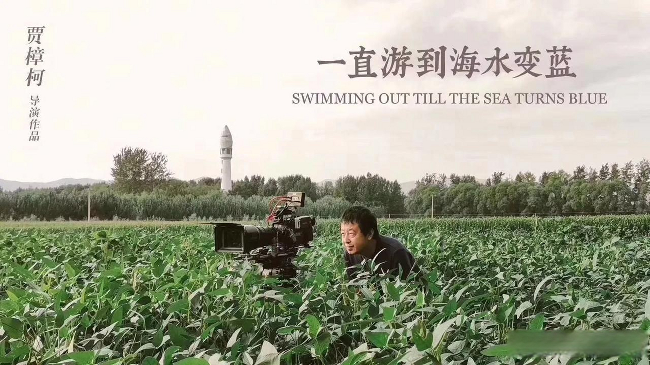 每日一部影视作品推荐 贾樟柯电影《一直游到海水变蓝》是一部深具