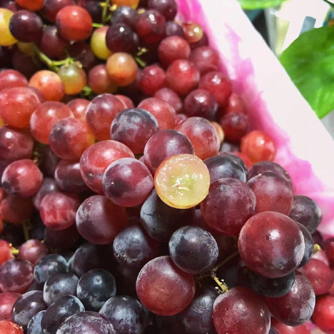 水果文案|脆甜又不用吐籽的无核玻璃翠葡萄 嗨你好啊,我是七蒔,现在在
