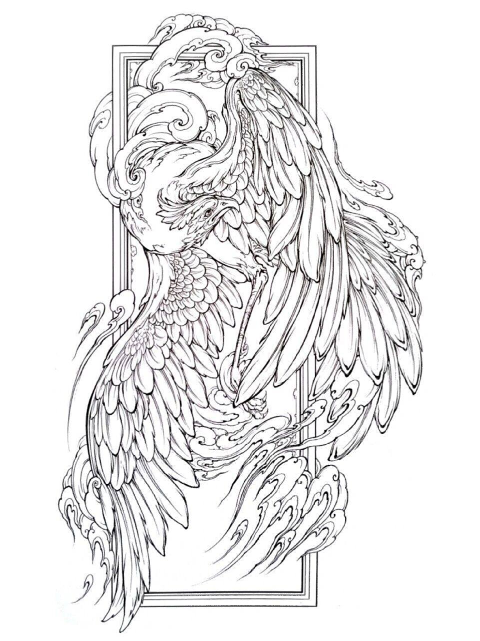 凤凰素材 可用作纹身手稿素材 凤凰纹身