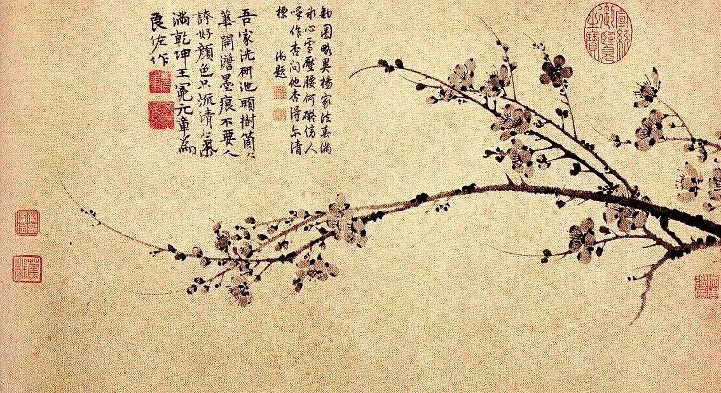 100幅中国名画赏析【64】《墨梅图》 画家:王冕 创作时间:元 尺寸:横