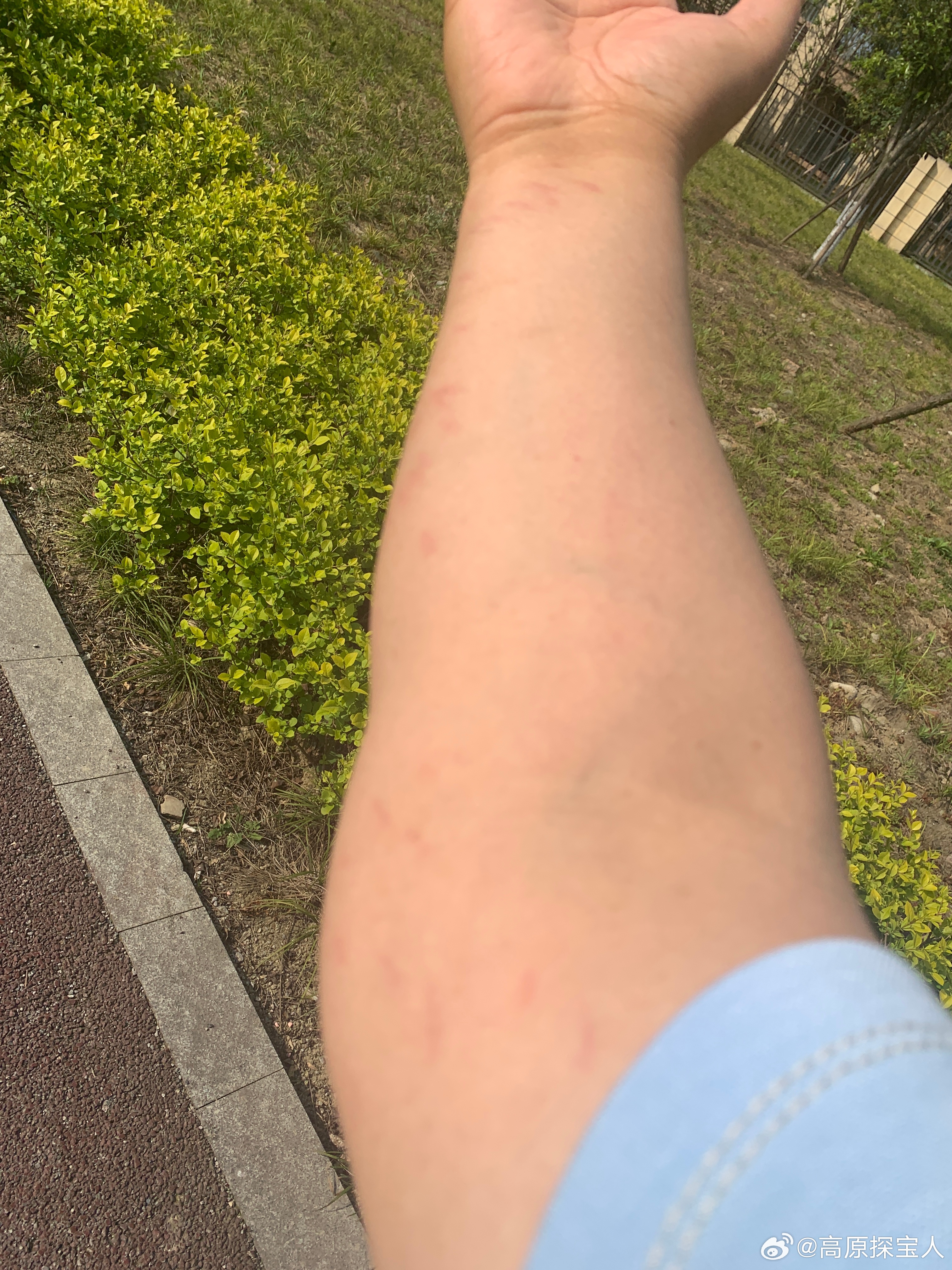 现在练功右侧上臂主要按压的部位,见照片