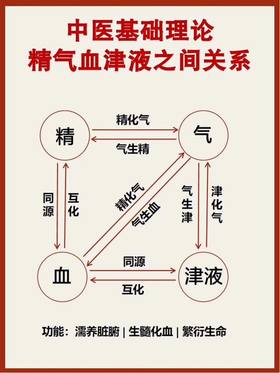 详解精气血津液之间关系