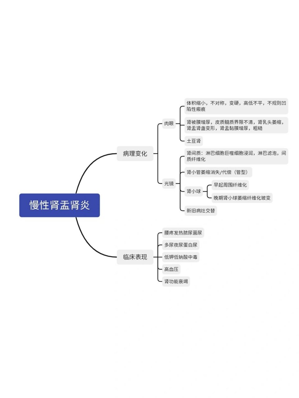 關(guān)于擅長(zhǎng)：泌尿系統(tǒng)疾病，主要包括腎小球腎炎、腎盂腎炎、泌尿系感染、IgA腎病、慢性腎功能衰竭、...號(hào)販子掛號(hào)，所有別人不能掛的我都能的信息