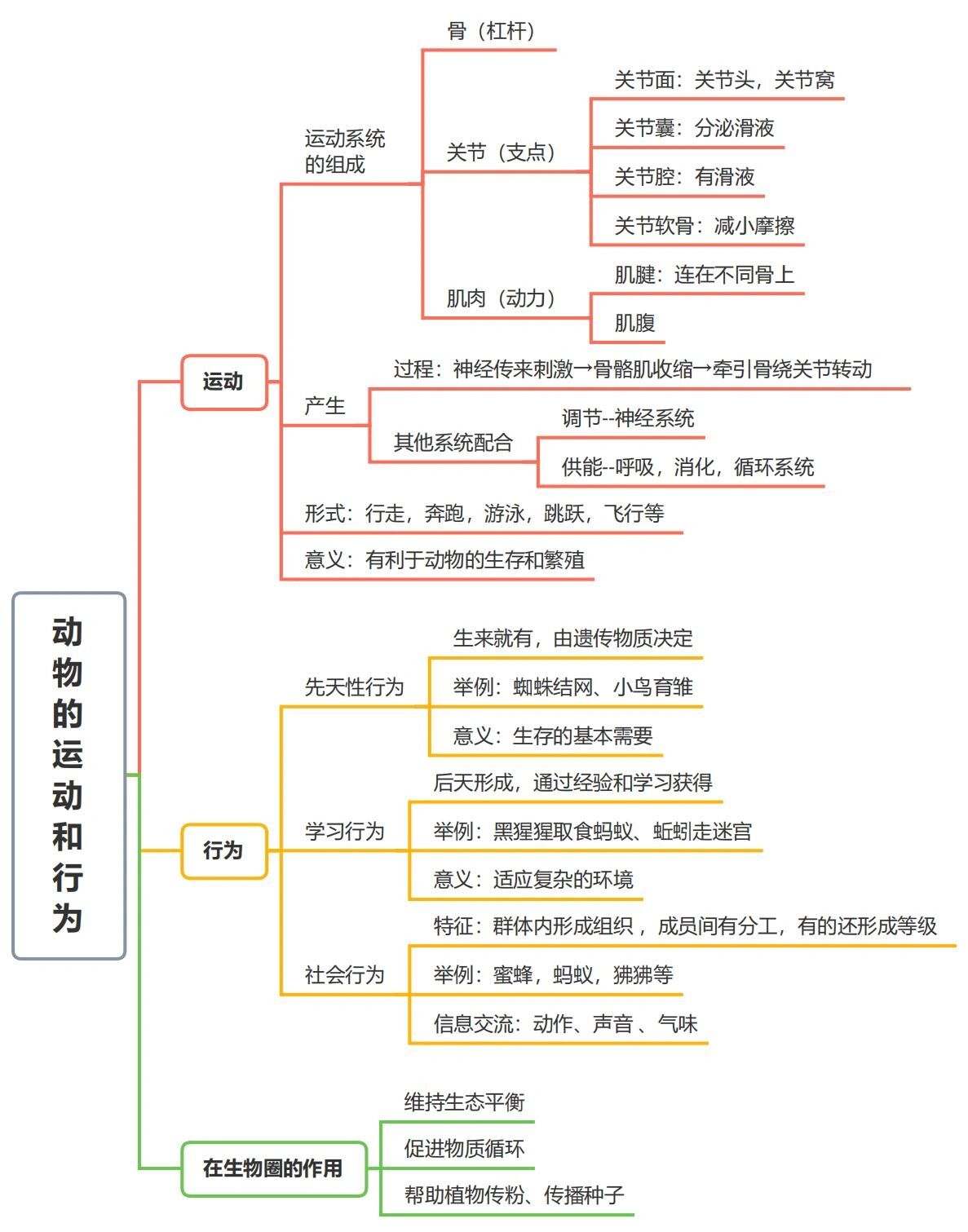 思维导图十一 动物的运动和行为