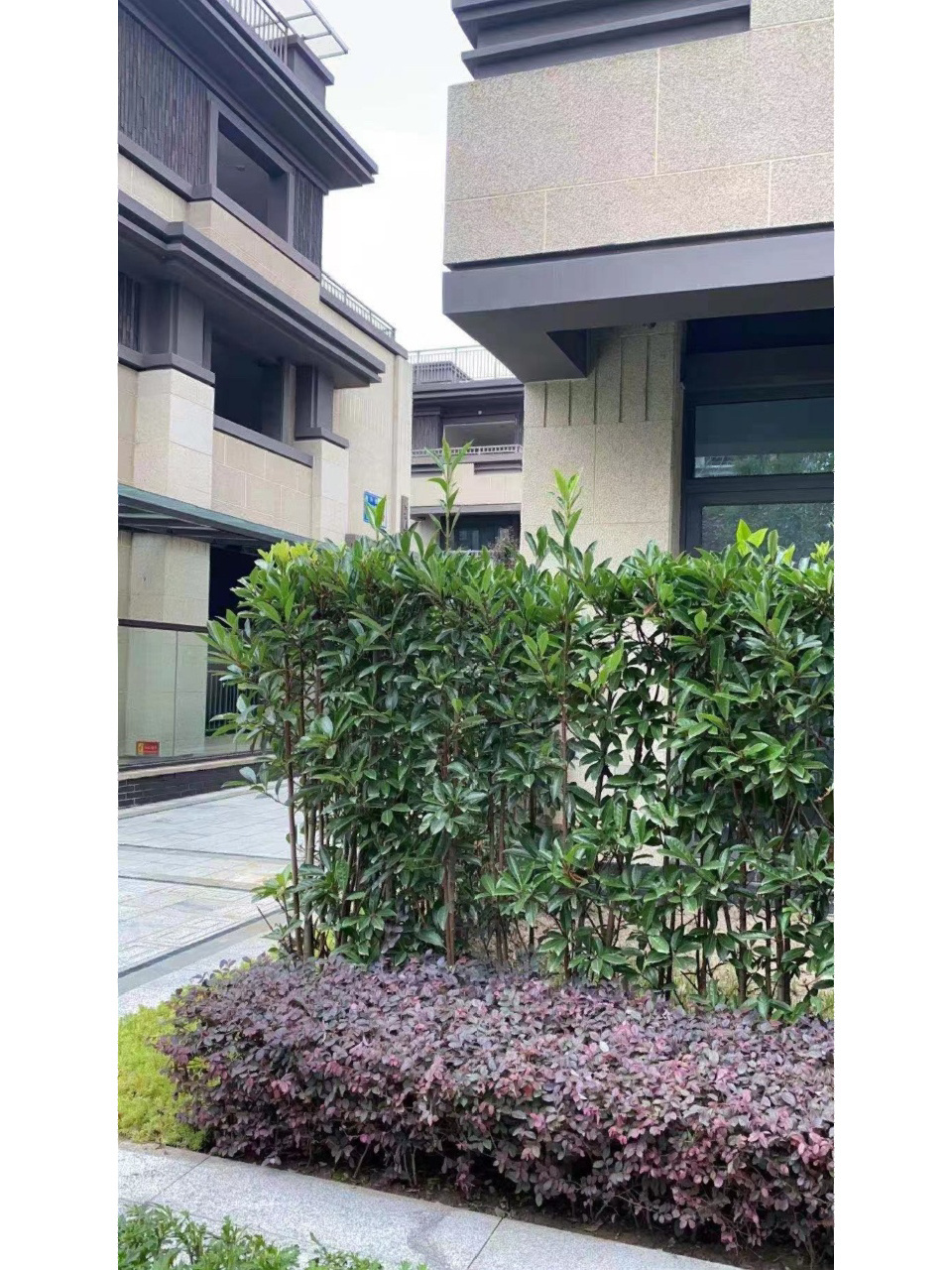 天府新区 秦皇寺板块现房别墅 广汇御园 秦皇寺天东片区天府公园旁