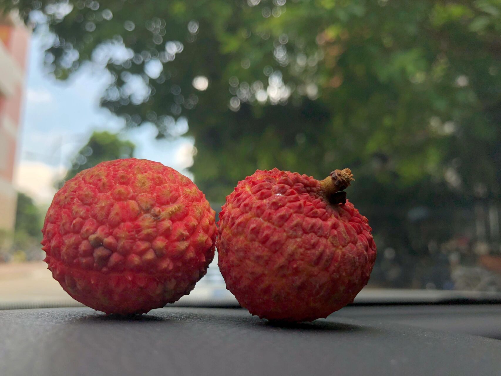 第一次尝到600多一斤的冰荔 【荔枝笔记】荔枝新贵——冰荔,据说今年