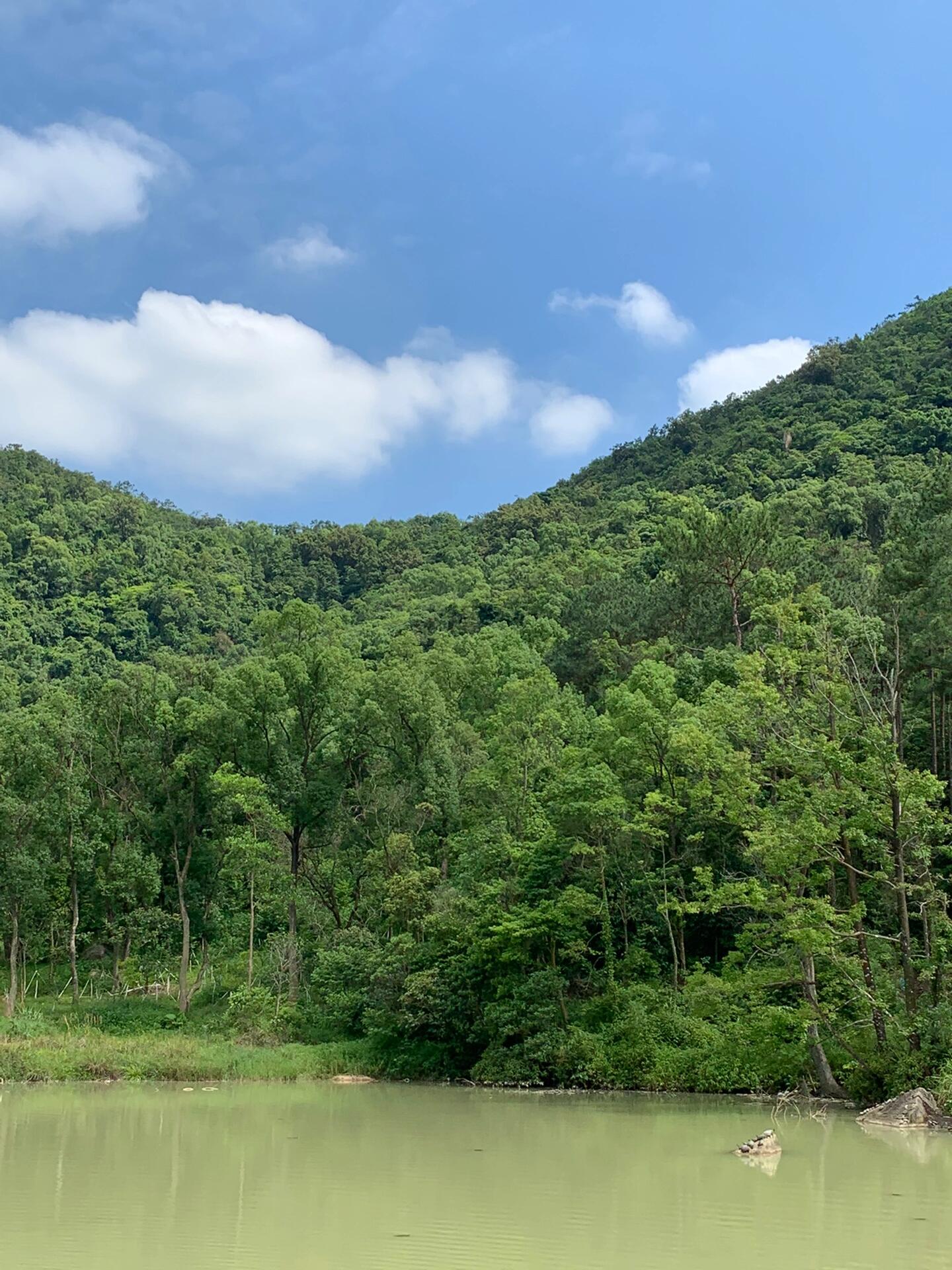 台山北峰山国家森林公园 爬山好去处, 沿着蜿蜒的山路开车上半山的