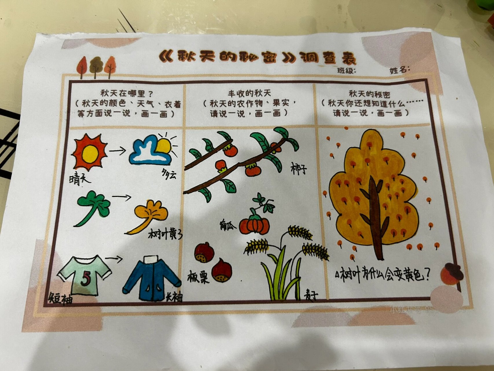 幼儿园秋季种植调查表图片