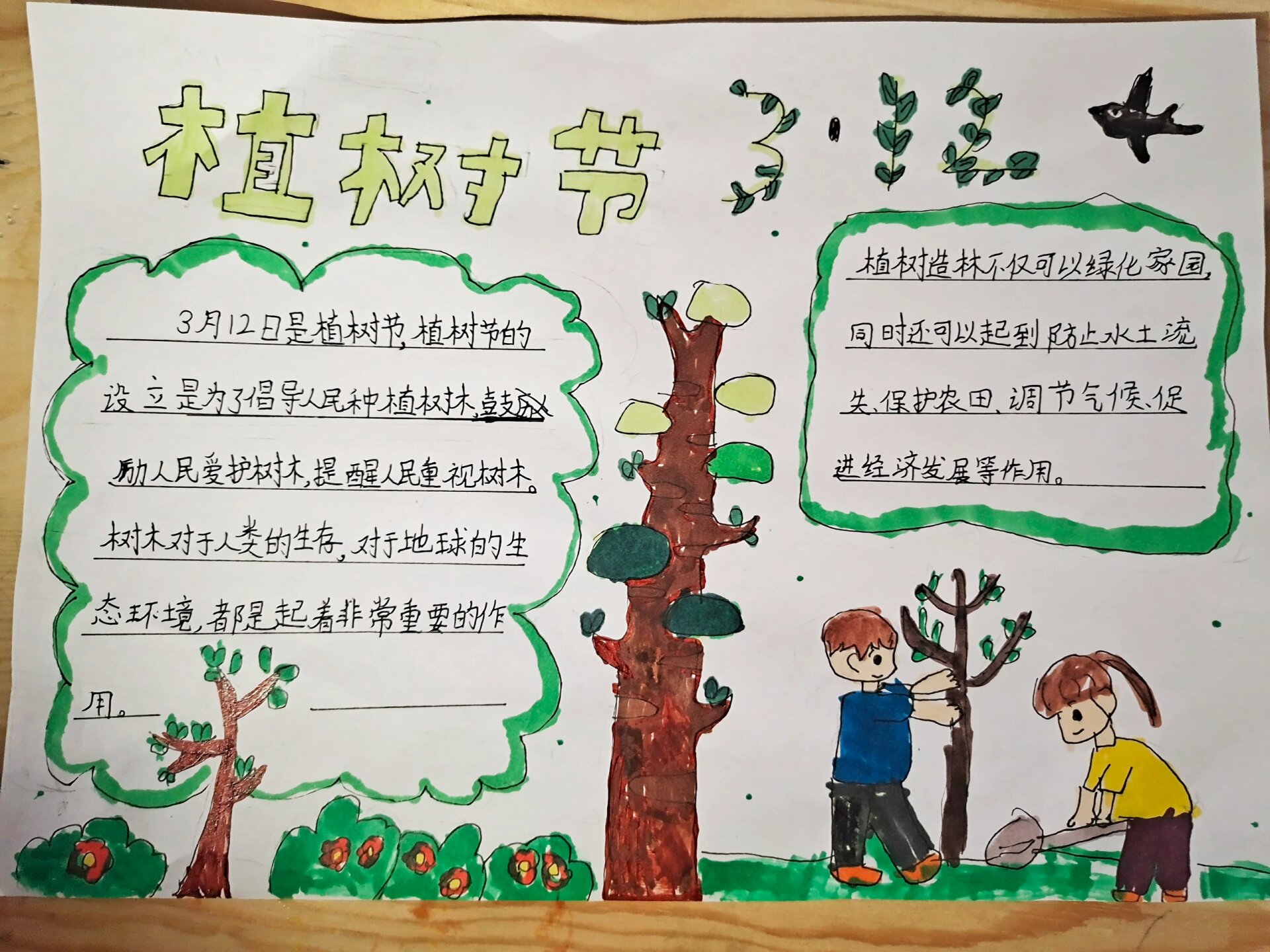 植树节手抄报