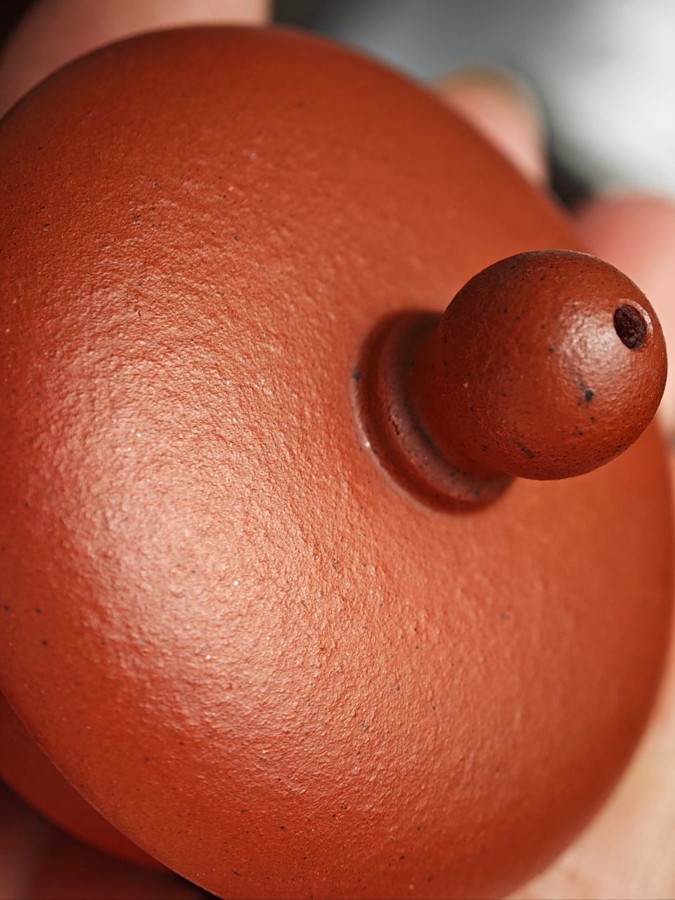 三朱荟:黄龙山朱泥,小煤窑朱泥,赵庄朱泥 终于等到黄龙山朱泥了,凑齐