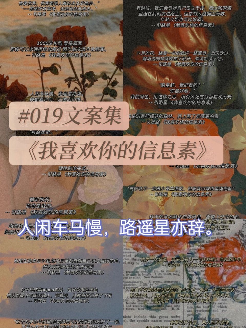 97《我喜欢你的信息素》神仙句子  93"我是来接你凯旋的" 93三