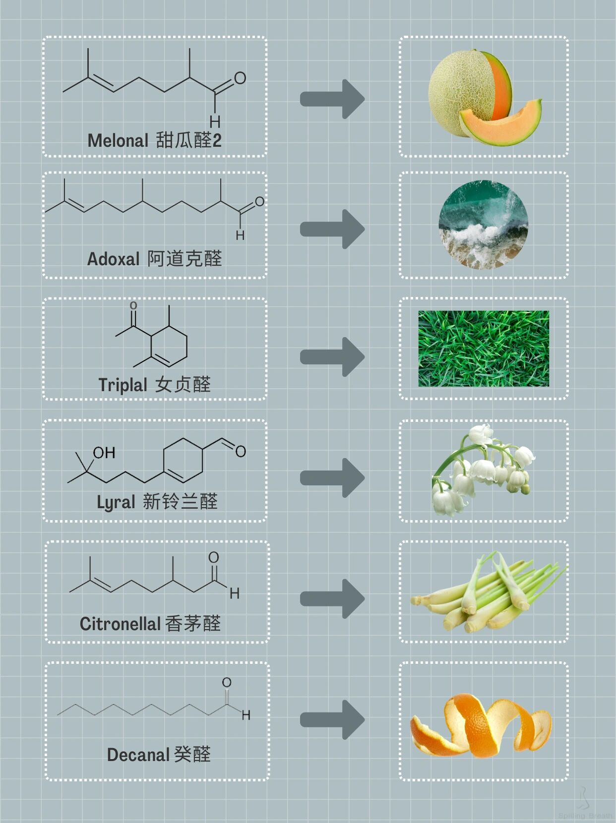 香草醛结构图片