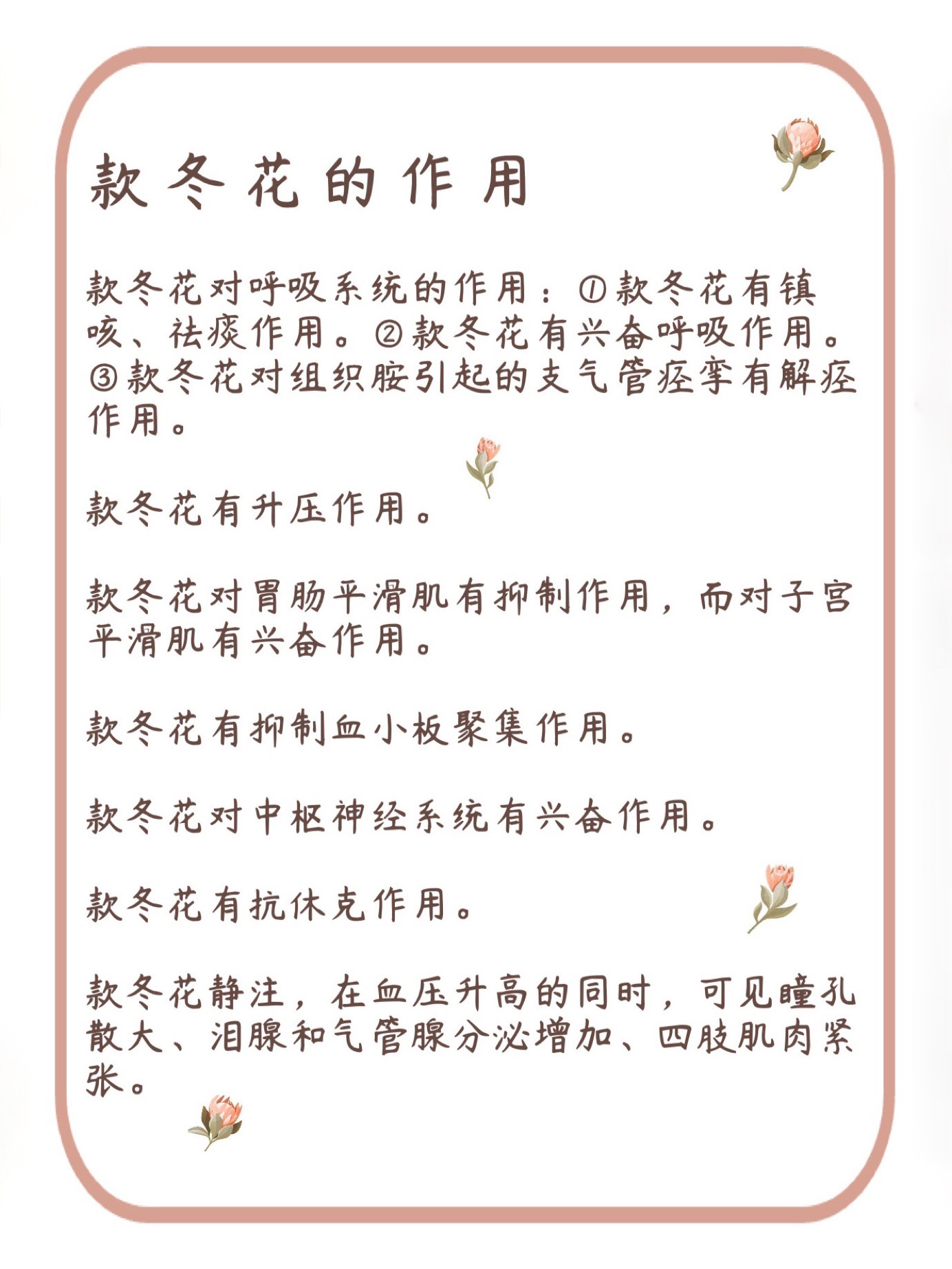 蜜款冬花的功效与作用图片