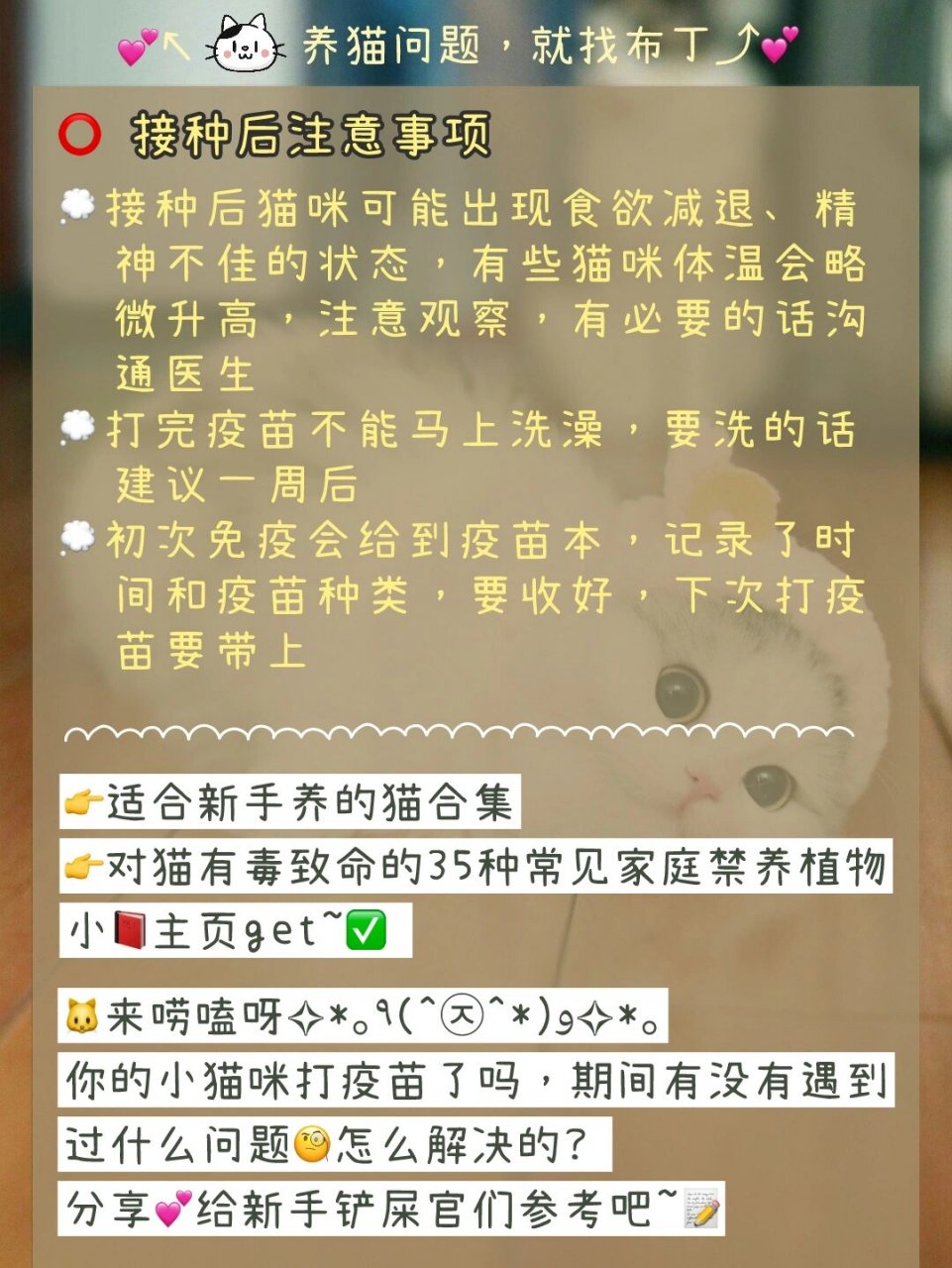 猫打狂犬疫苗要几次图片