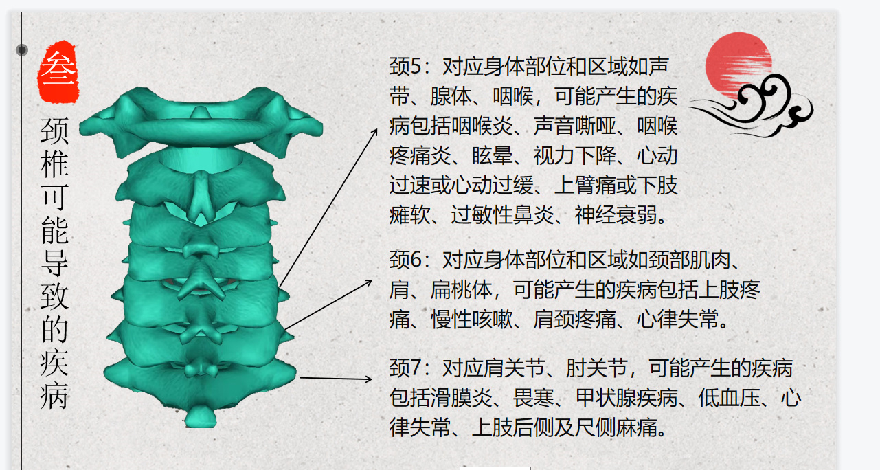 纯分享健康知识 一,【颈椎相关知识】 颈椎第一节,风池穴两侧,寰椎