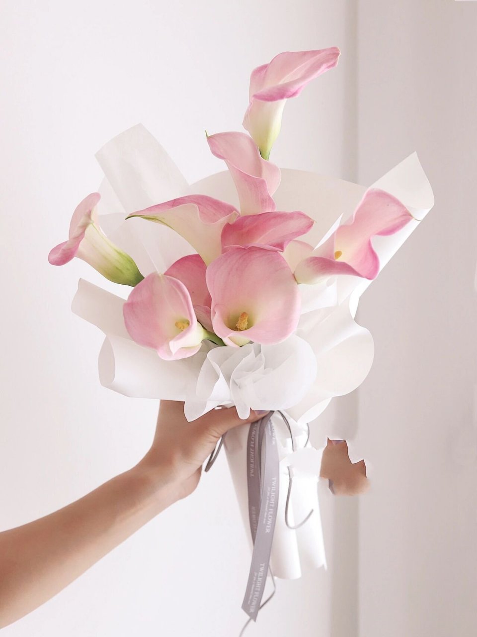 仙粉色马蹄莲花束 干净气质温柔领证花束 简简单单的 单品马蹄莲花束