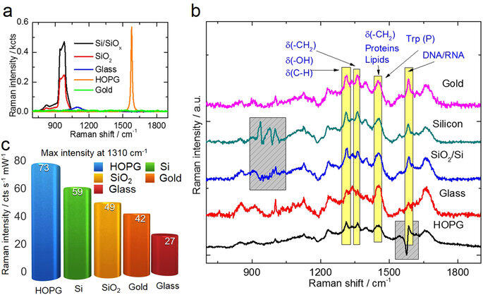 实验一年才明白拉曼光谱这些常见问题!