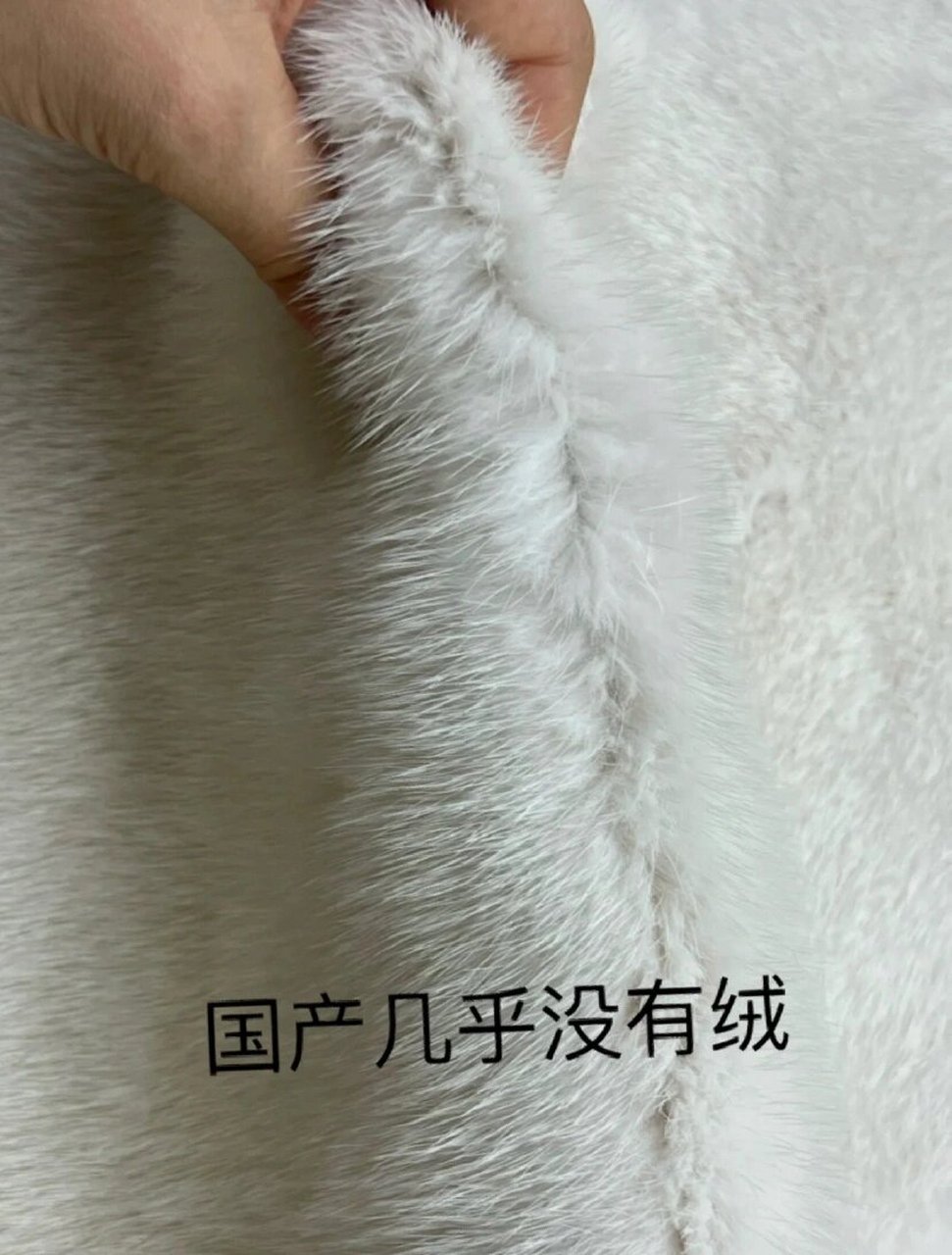 进口水貂与国产水貂的区别