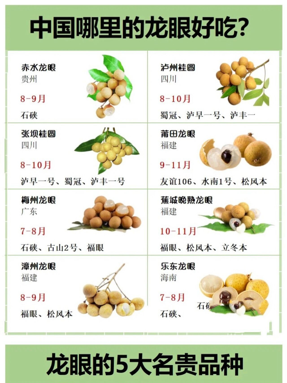 桂圆品种来了 你们喜欢吃哪种桂圆