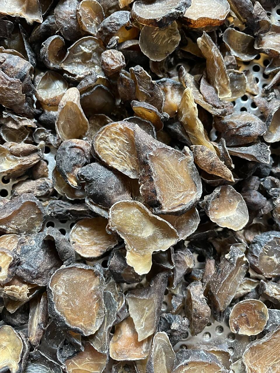 中药附子(黑顺片)