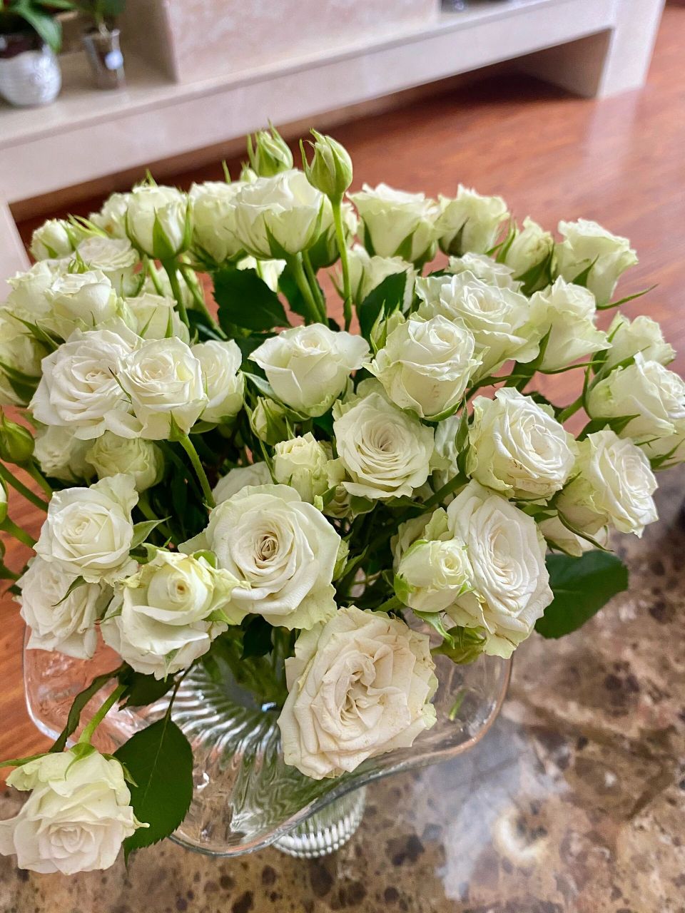 繁星泡泡多头玫瑰 繁星为白绿渐变多头玫瑰,花苞时期,整个花头被淡