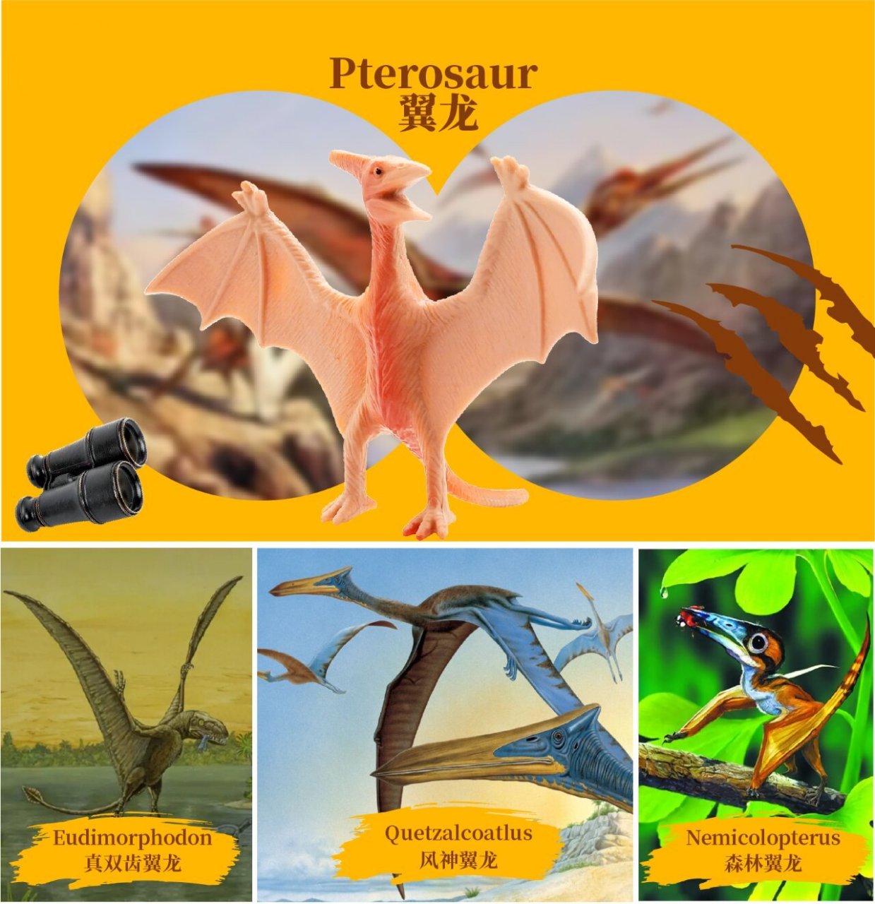 恐龙知识科普之天空霸主—翼龙 翼龙,生存于晚三叠纪到白垩纪末,约2亿