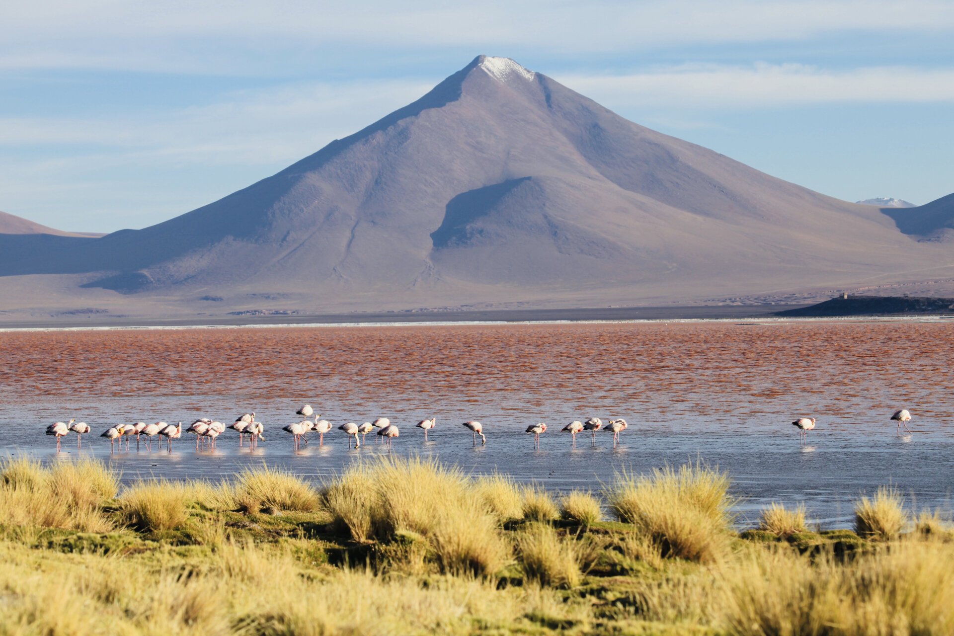 玻利维亚乌尤尼盐湖9715季全攻略 当我和咚咚到达玻利维亚首都