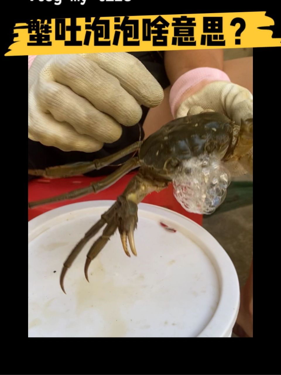 螃蟹吐泡泡,是由于它的呼吸方式引起的.