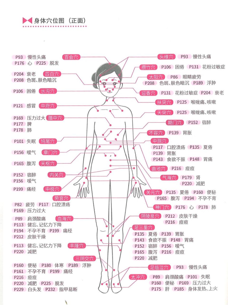 十二经络3D动画 记忆法图片