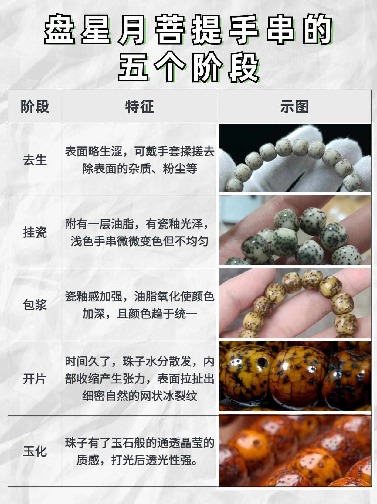 星月菩提开片要多久图片