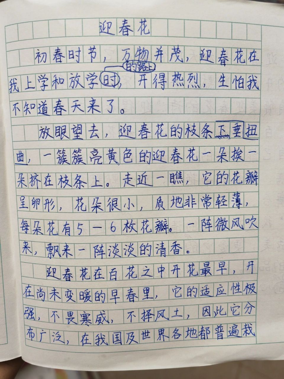 小学生三年级写作练习━迎春花    初春时节,万物并茂,迎春花在我上学