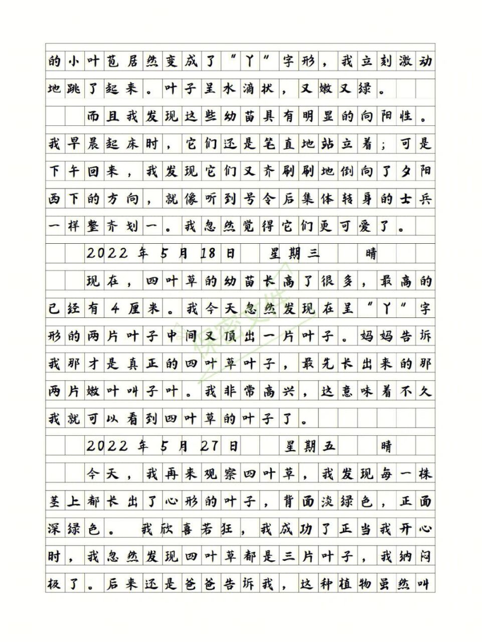 观察日记300字作文四年级植物(观察日记300字以上植物四年级)