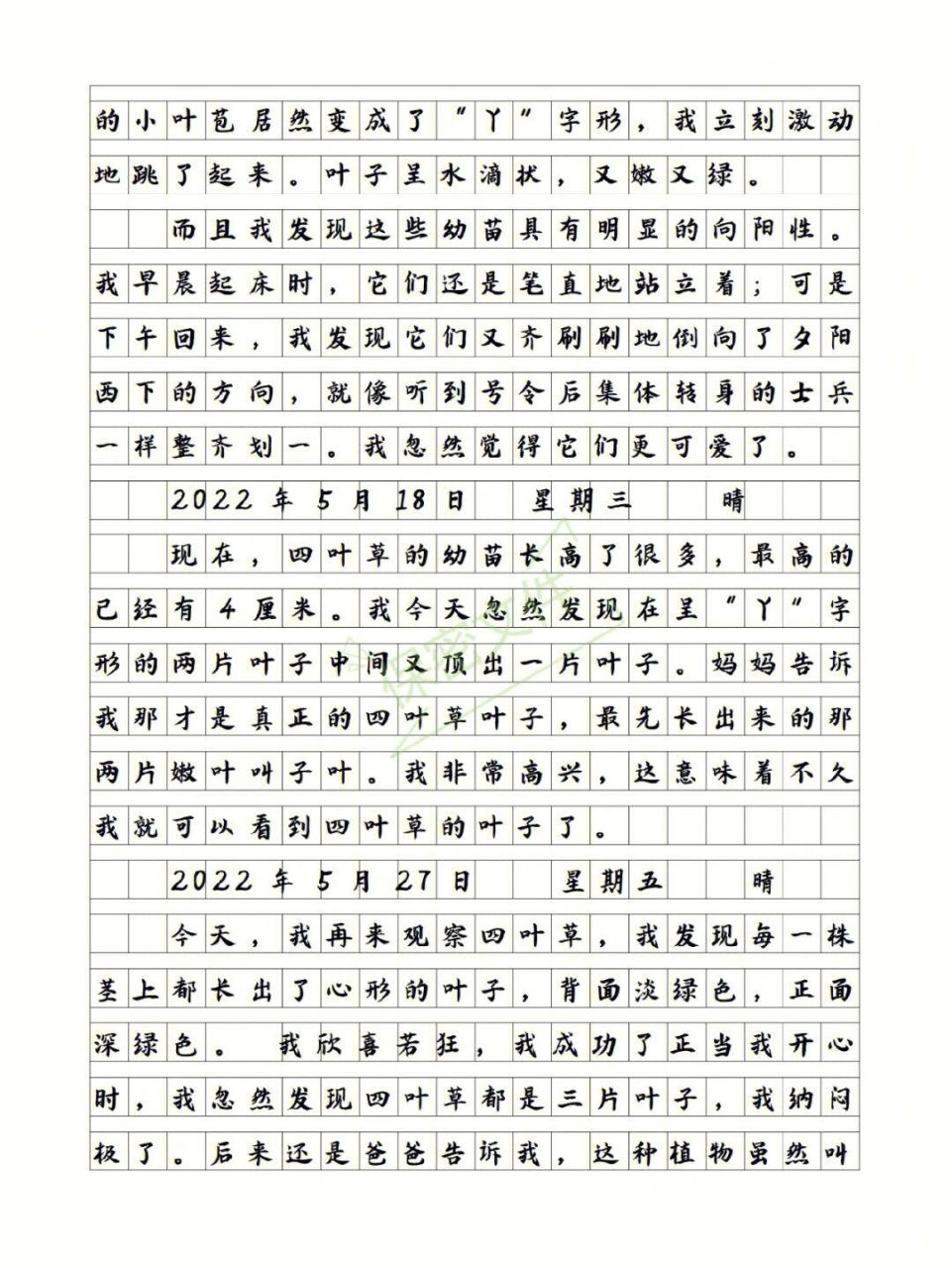 观察日记四百字图片