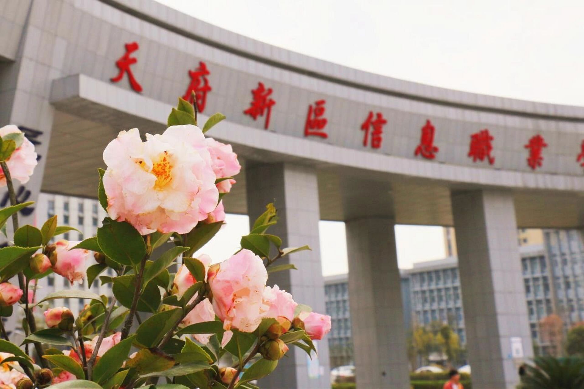 天府新区信息职业学院