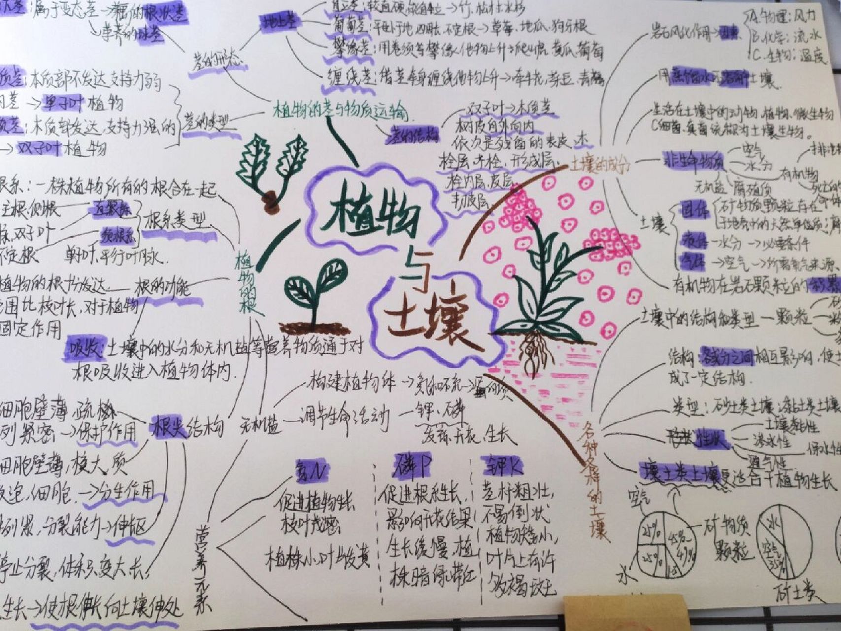 浙教版八下科学第四章-思维导图