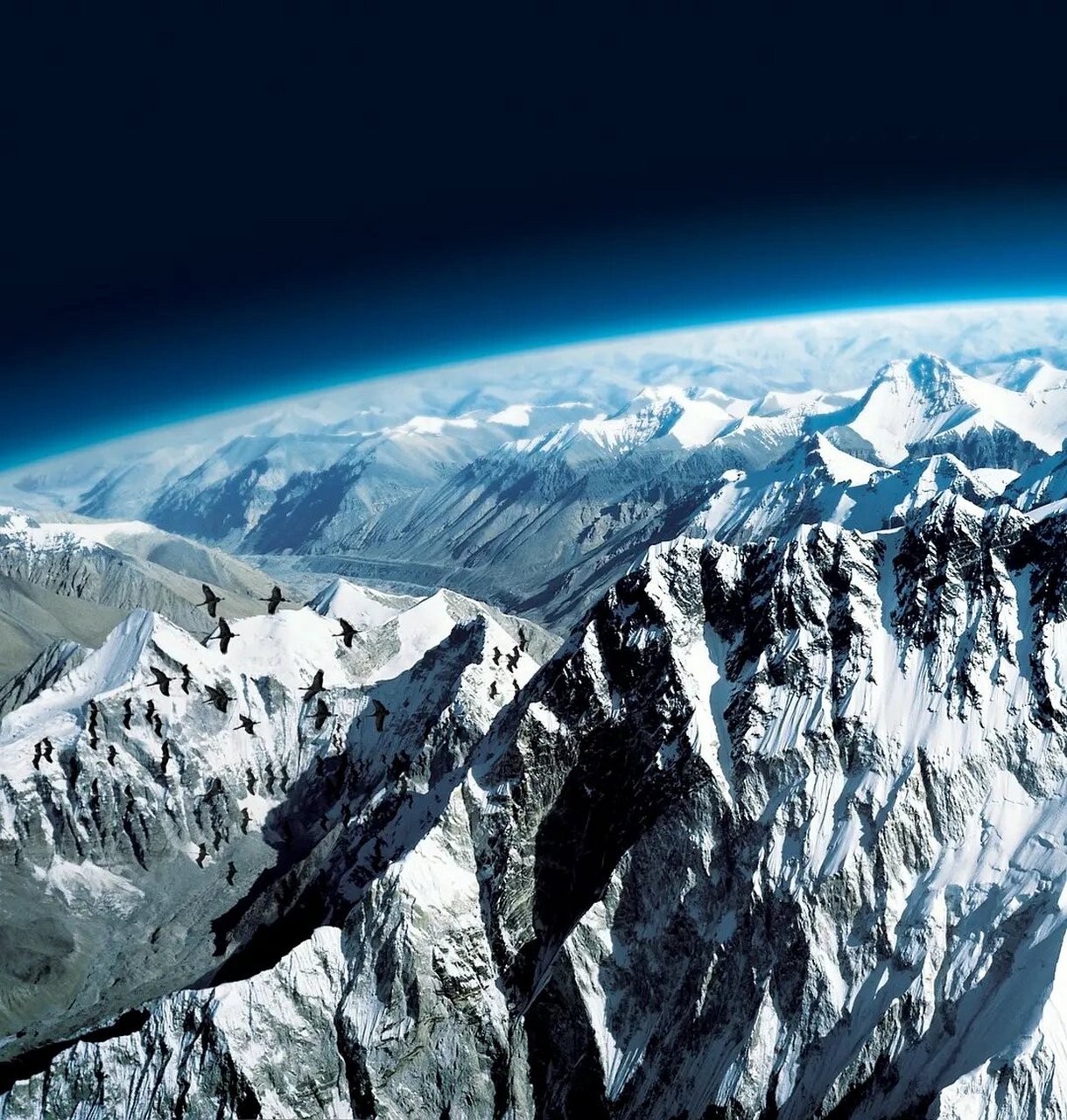 纪录片《地球脉动》82158215821582158215 外文