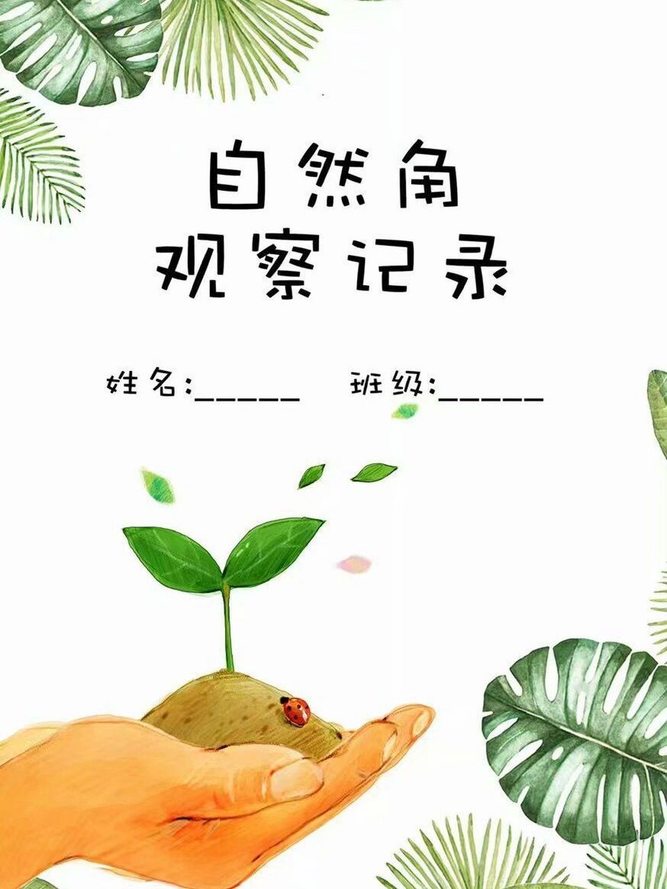 幼儿园植物角观察记录98 幼儿园植物角观察记录表～ 太多人要了,真