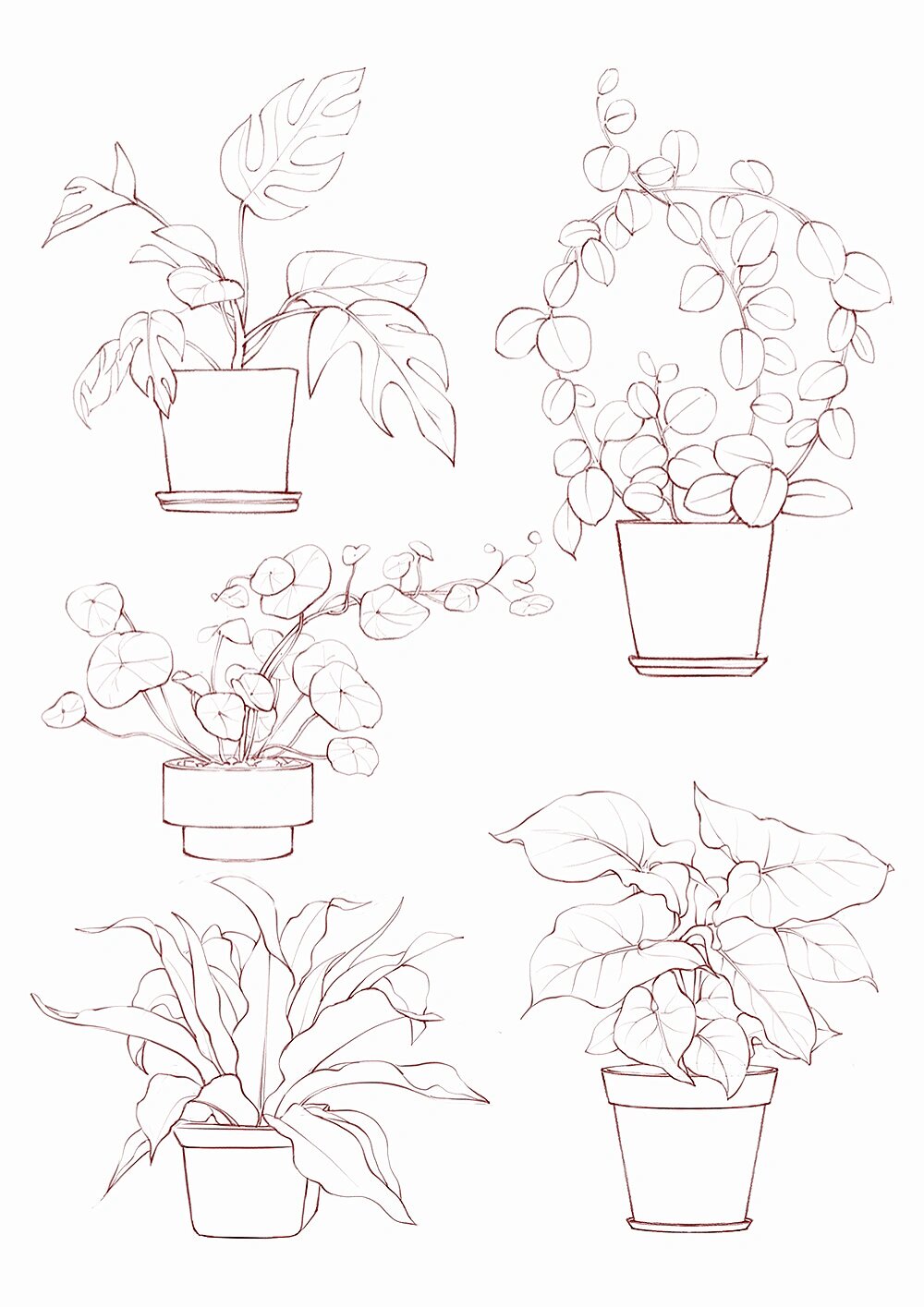 盆栽线稿